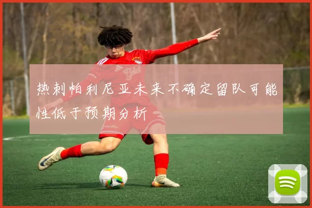 热刺帕利尼亚未来不确定留队可能性低于预期分析