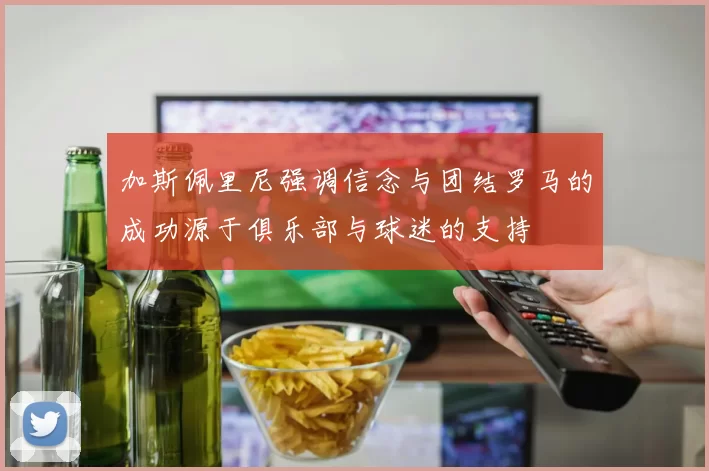 加斯佩里尼强调信念与团结罗马的成功源于俱乐部与球迷的支持