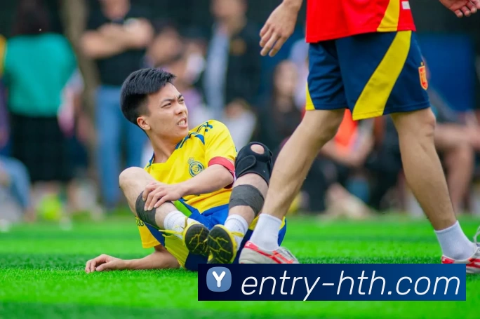 华体会平台生态图